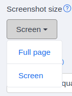 Screenshot size